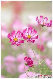 images (2) images (2)