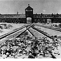 Bundesarchiv_Bild_175-04413,_KZ_Auschwitz,_Einfahrt.jpg