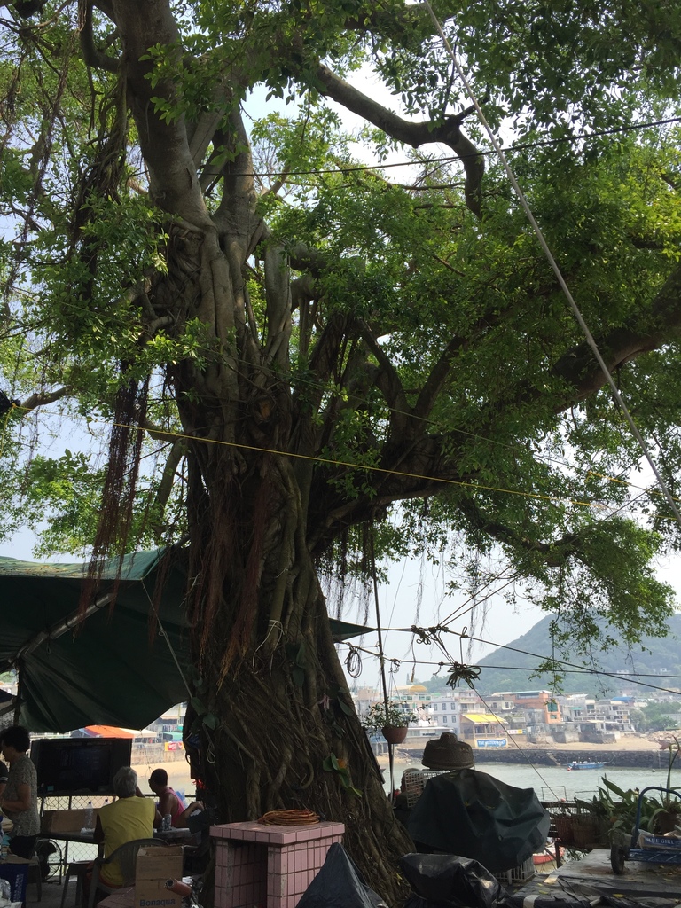 IMG_9191.JPG IMG_9191.JPG