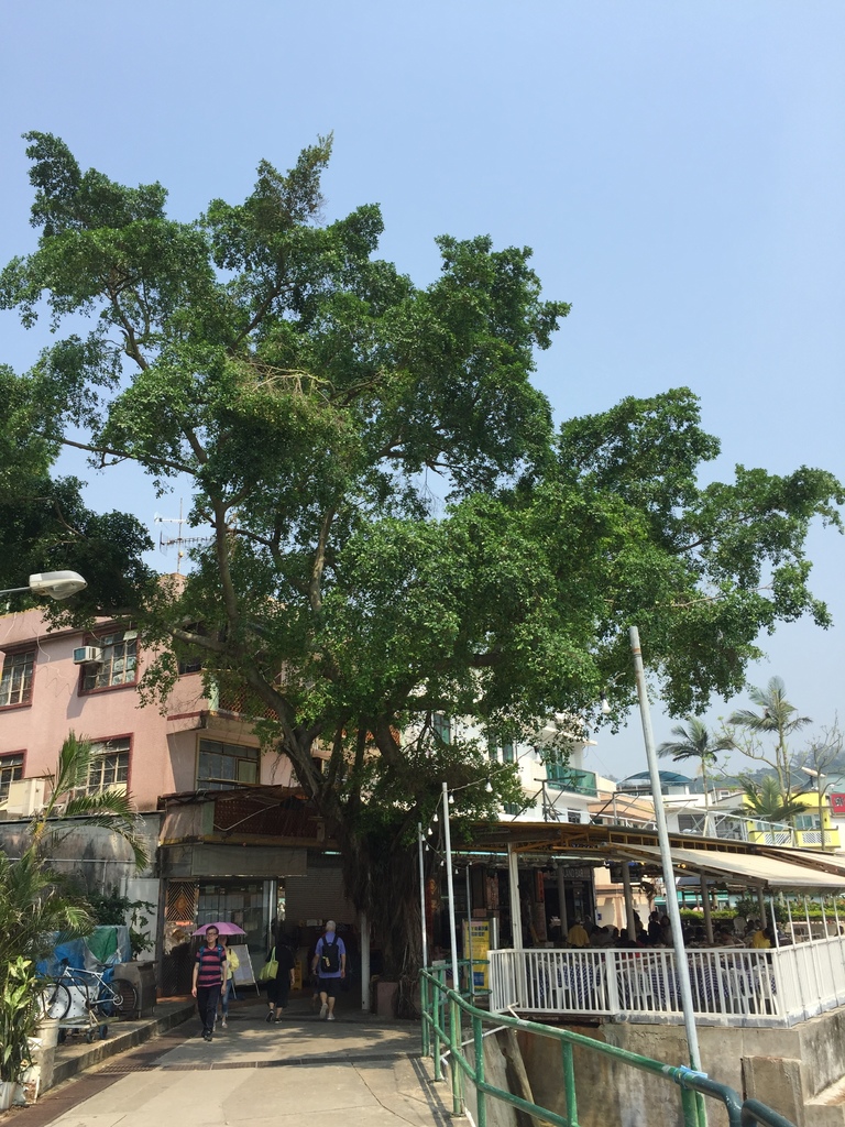 IMG_9193.JPG IMG_9193.JPG