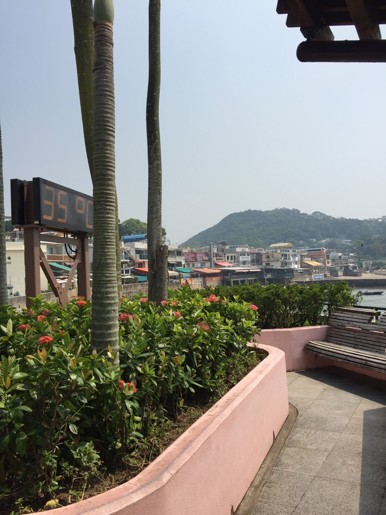 IMG_9200.JPG IMG_9200.JPG