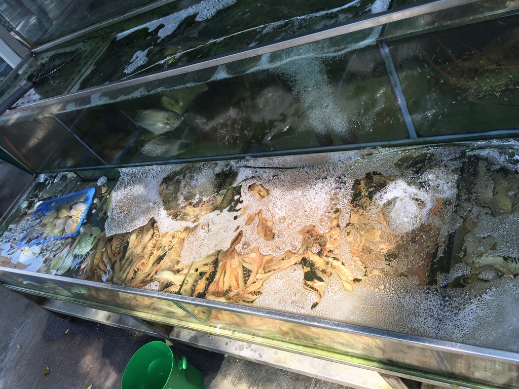 IMG_9206.JPG IMG_9206.JPG