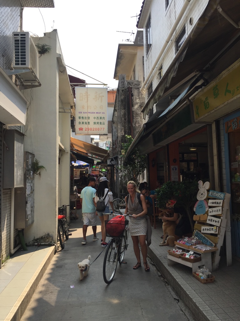 IMG_9231.JPG IMG_9231.JPG