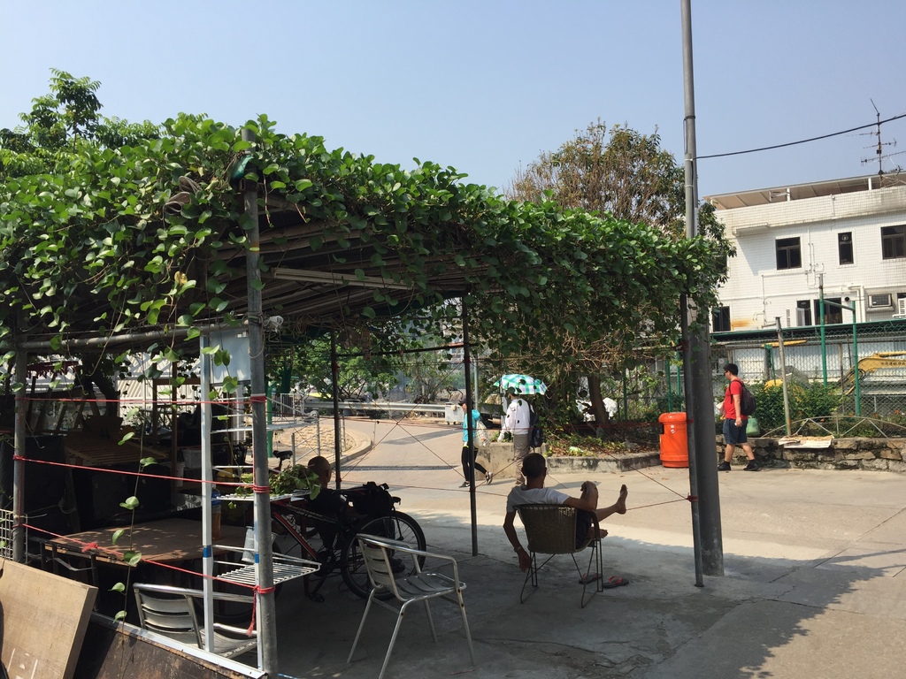 IMG_9255.JPG IMG_9255.JPG