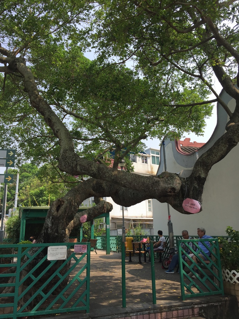 IMG_9257.JPG IMG_9257.JPG