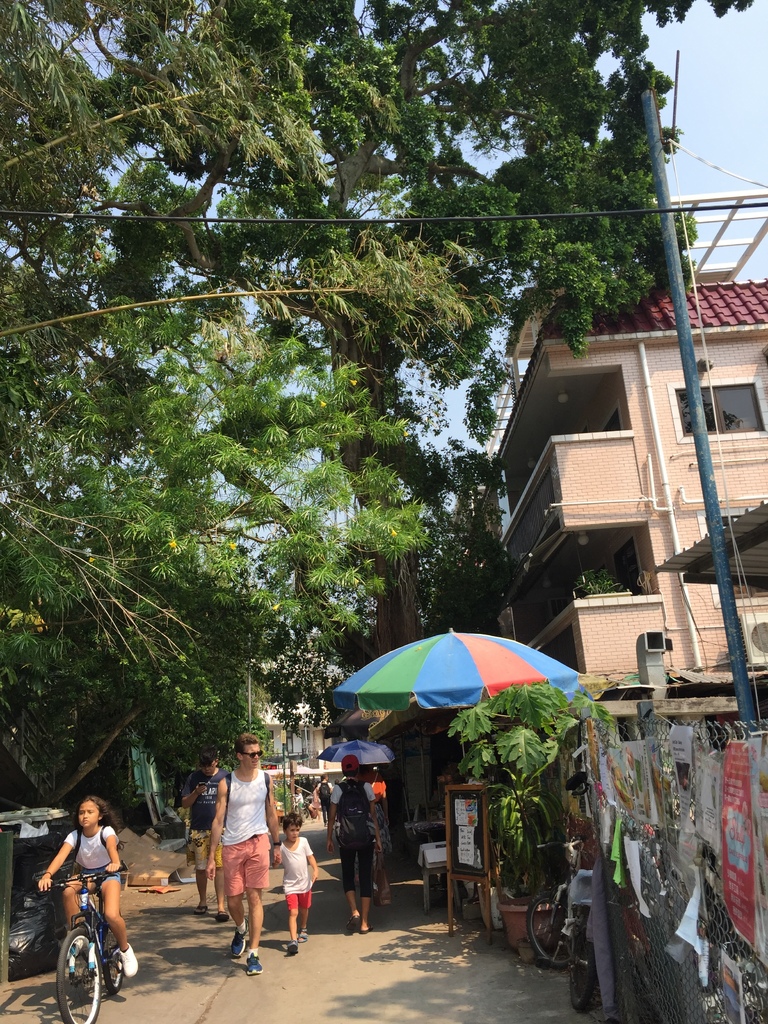 IMG_9293.JPG IMG_9293.JPG