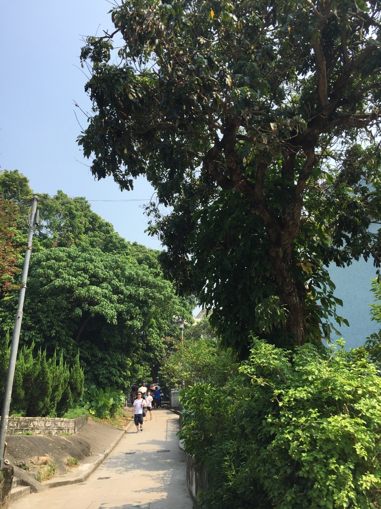 IMG_9302.JPG IMG_9302.JPG