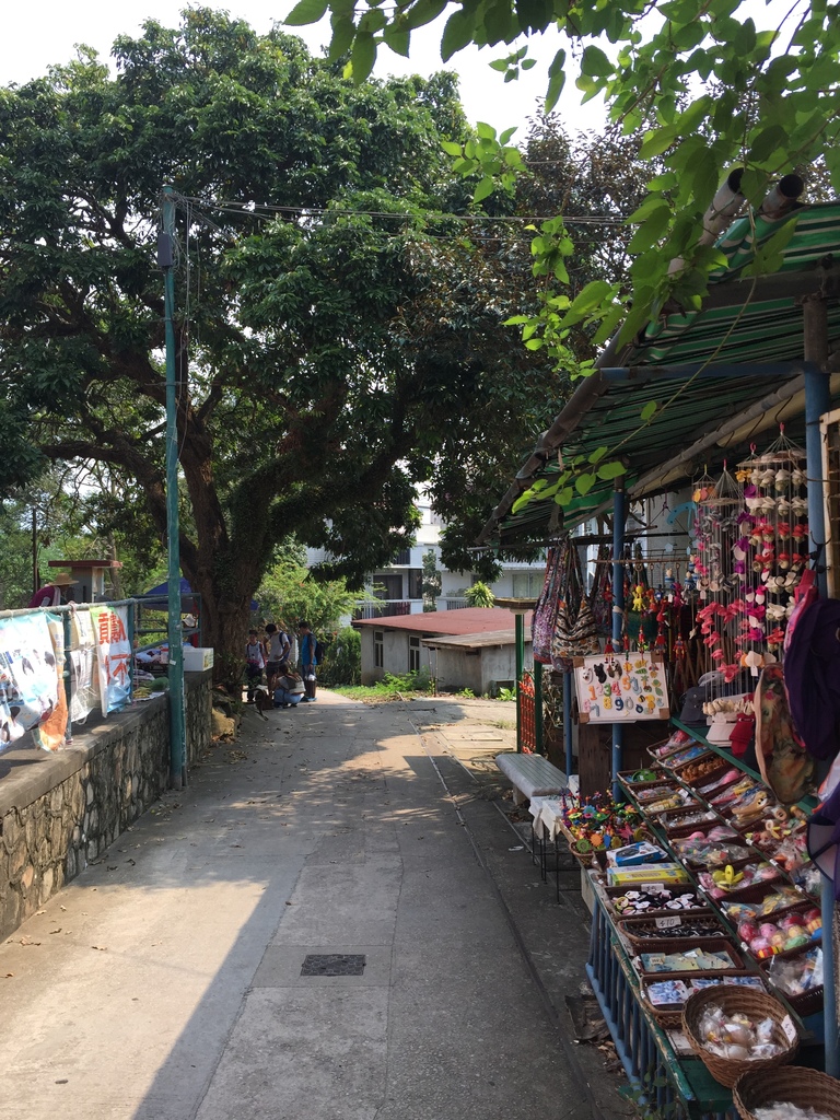 IMG_9307.JPG IMG_9307.JPG