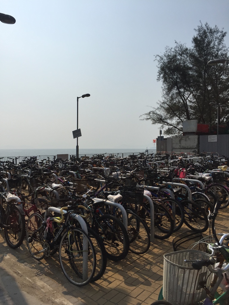 IMG_9366.JPG IMG_9366.JPG