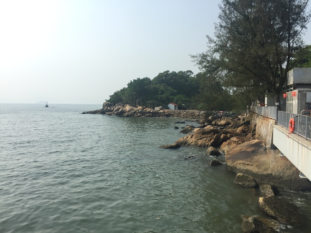 IMG_4265.JPG IMG_4265.JPG