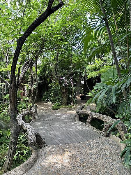 [泰國-清邁-群樹環繞的米其林必比登黑森林餐廳]