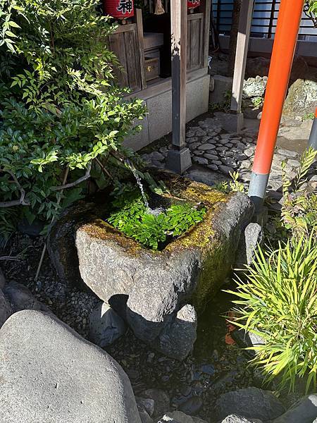 [日本-東京-南千住-米其林一星，尾花鰻魚飯(うなぎ 尾花)