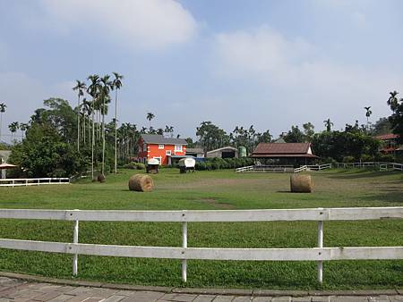 IMG_1491 IMG_1491