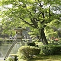 2009-05-10 金澤.兼六園3959A.jpg