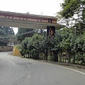 2010-11-28向天湖公路04915.jpg