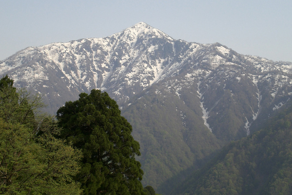 2009-05-09 立山黑部.美女平3698.jpg