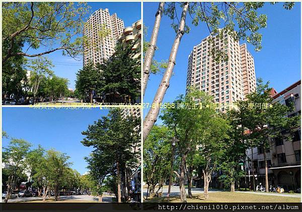 s19北大愛樂D9雅致三房4.jpg s19北大愛樂D9雅致三房4.jpg