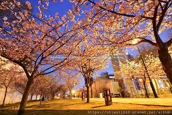 o15新竹公園_新竹市東區公園路 (1).jpg o15新竹公園_新竹市東區公園路 (1).jpg