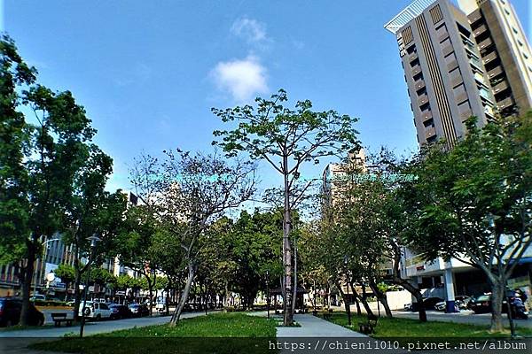 t28經國綠園道_新竹市經國路一段 (3).jpg t28經國綠園道_新竹市經國路一段 (3).jpg