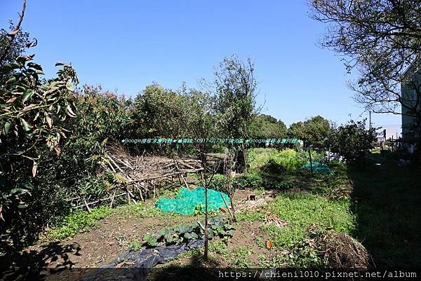 g7竹北市溪州段農牧用地499坪_中正西路1073巷150弄39號旁 (溪洲段837地號) (5).jpg g7竹北市溪州段農牧用地499坪_中正西路1073巷150弄39號旁 (溪洲段837地號) (5).jpg