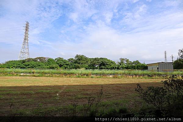 f6桃園新屋區文福路休閒農地705坪㊝近永安漁港_文福路442-1號(笨子港段榕樹下小段162地號) (9).jpg f6桃園新屋區文福路休閒農地705坪㊝近永安漁港_文福路442-1號(笨子港段榕樹下小段162地號) (9).jpg