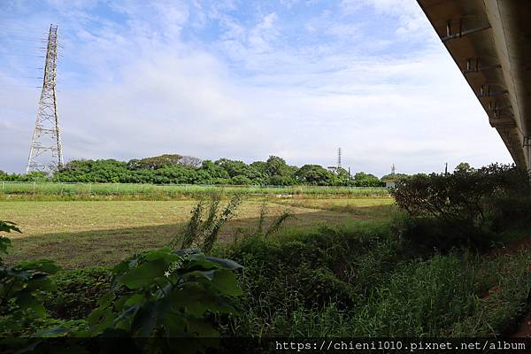 g7桃園新屋區文福路休閒農地705坪㊝近永安漁港_文福路442-1號(笨子港段榕樹下小段162地號) (8).jpg g7桃園新屋區文福路休閒農地705坪㊝近永安漁港_文福路442-1號(笨子港段榕樹下小段162地號) (8).jpg