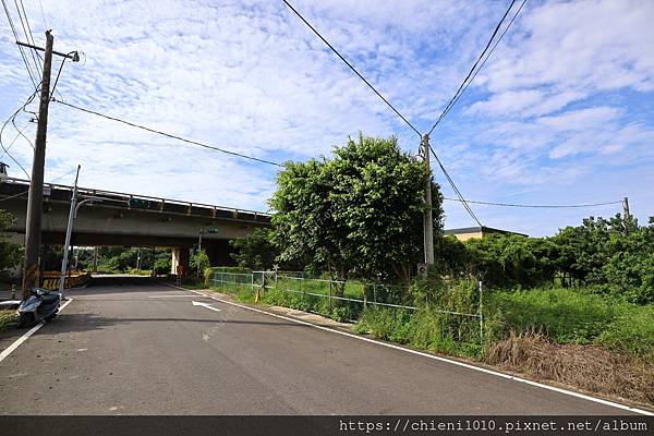 i9桃園新屋區文福路休閒農地705坪㊝近永安漁港_文福路442-1號(笨子港段榕樹下小段162地號) (7).jpg