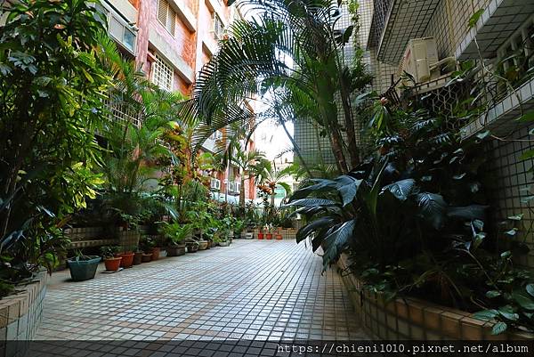 o15光華大潤發商圈「水晶蘭庭」旁の低總價精巧三房&hearts;雙陽台_新竹市光華二街56巷12號二樓 (15).jpg