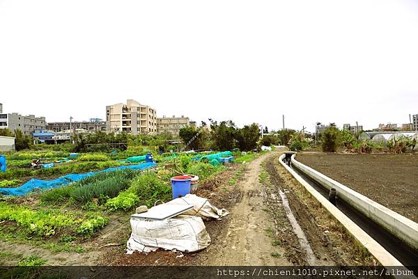 d4南寮天府路㊝中寮段農地211坪〡都計內農業區■安欣•上廣樂11對面 (新竹市中寮段9-1,5-2地號) (12).jpg