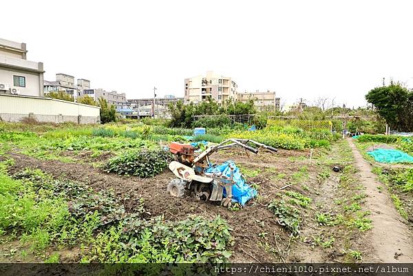 b2南寮天府路㊝中寮段農地211坪〡都計內農業區■安欣•上廣樂11對面 (新竹市中寮段9-1,5-2地號) (13).jpg