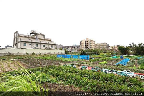c3南寮天府路㊝中寮段農地211坪〡都計內農業區■安欣•上廣樂11對面 (新竹市中寮段9-1,5-2地號) (11).jpg c3南寮天府路㊝中寮段農地211坪〡都計內農業區■安欣•上廣樂11對面 (新竹市中寮段9-1,5-2地號) (11).jpg