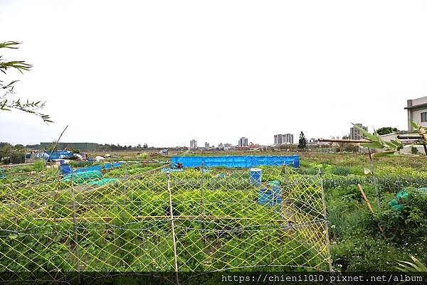 e5南寮天府路㊝中寮段農地211坪〡都計內農業區■安欣•上廣樂11對面 (新竹市中寮段9-1,5-2地號) (4).jpg e5南寮天府路㊝中寮段農地211坪〡都計內農業區■安欣•上廣樂11對面 (新竹市中寮段9-1,5-2地號) (4).jpg