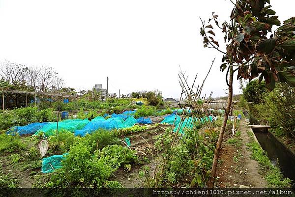 k11南寮天府路㊝中寮段農地211坪〡都計內農業區■安欣•上廣樂11對面 (新竹市中寮段9-1,5-2地號) (3).jpg