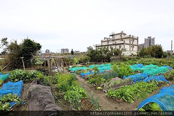 i9南寮天府路㊝中寮段農地211坪〡都計內農業區■安欣•上廣樂11對面 (新竹市中寮段9-1,5-2地號) (2).jpg i9南寮天府路㊝中寮段農地211坪〡都計內農業區■安欣•上廣樂11對面 (新竹市中寮段9-1,5-2地號) (2).jpg