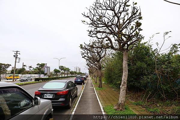 n14天府路一段 (3).jpg