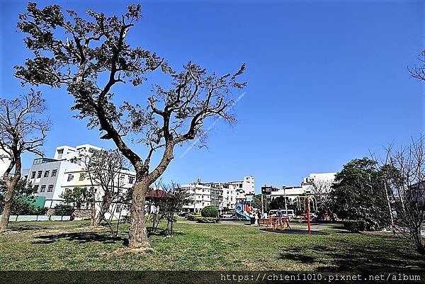 t26中清公園_新竹市北區中清一路45號~59號 (8).JPG