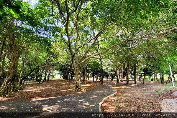 a18南寮環保公園.jpg