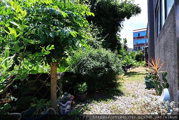 t20鄰南寮國小の優質庭院別墅「易方靜安」邊間五大房✚車位♥地32坪_新竹市北區東大路三段556巷21號 (20).jpg