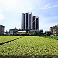 t21新祐景然_新竹市延平路二段1428號~1430號 (7).jpg