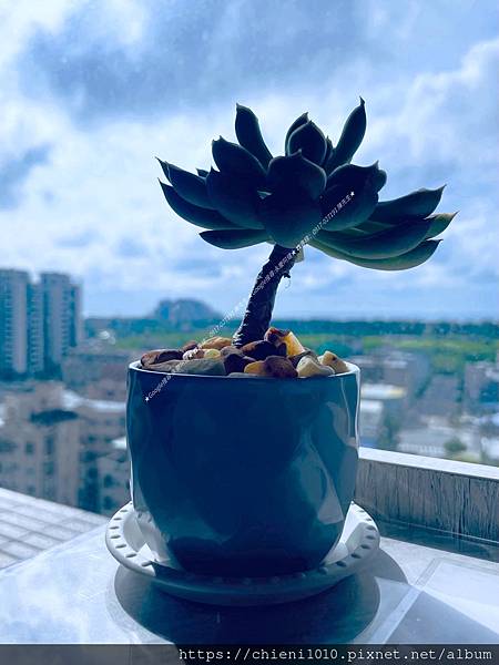 n14南寮「海街日記」絕美景觀三房1樓平車優B3邊間高樓層_新竹市北區中清路一段248號12樓之5 (8).jpg