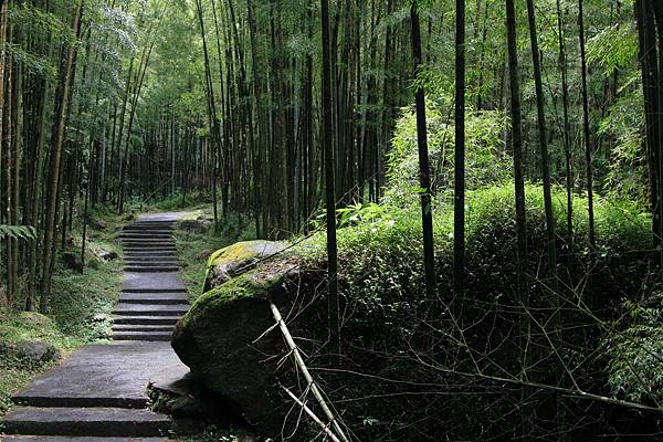 竹林步道