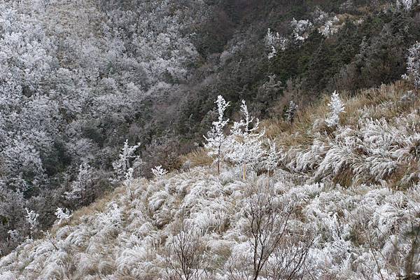 太平山