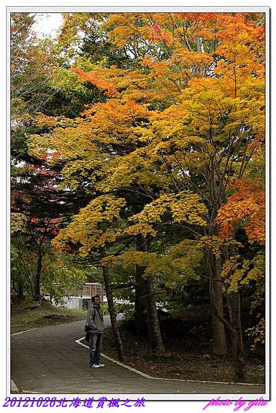 大沼國定公園_07