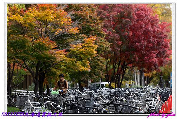 北海道大學_05