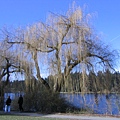 Stanley Park 010