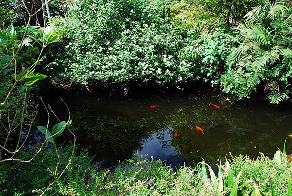 DSC_4383.JPG DSC_4383.JPG