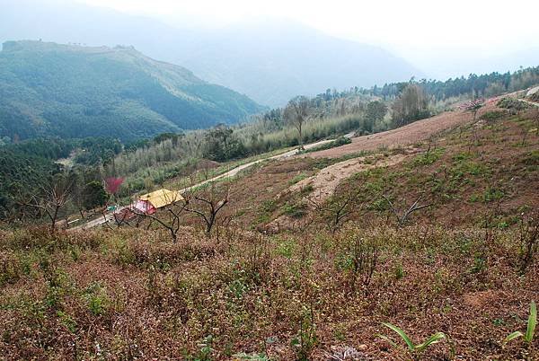 DSC_1442.JPG DSC_1442.JPG