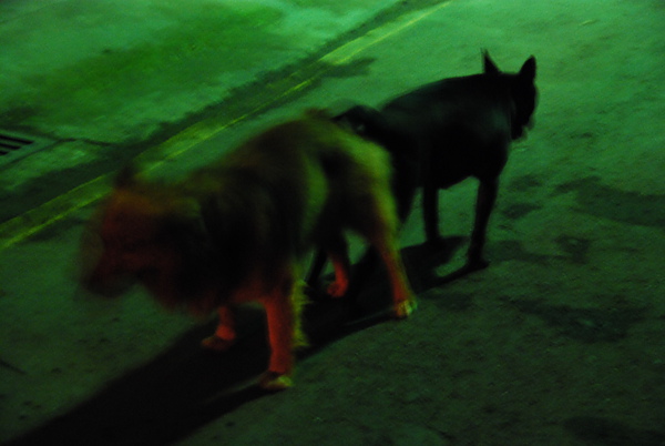 DSC_1998.JPG DSC_1998.JPG