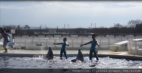 水族館3.png