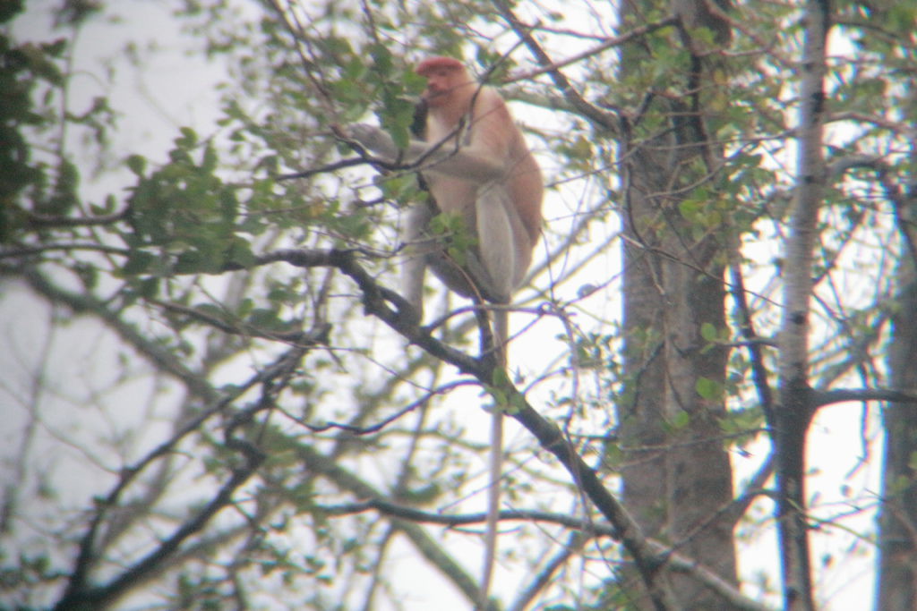 IMG_7067.JPG IMG_7067.JPG